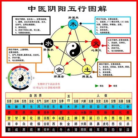 中醫 五行表